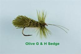 Olive G and H Sedge